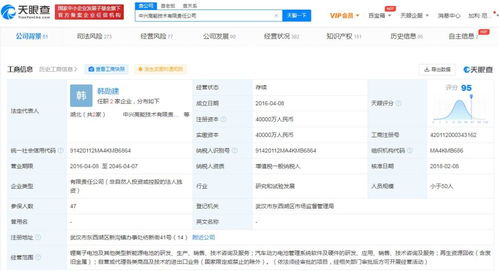 探索軟件信息咨詢服務(wù)的價值與應(yīng)用